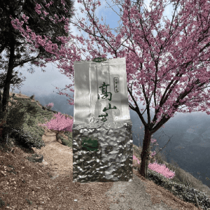 梨山吊橋櫻花
