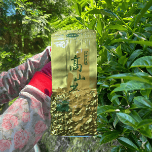 梨山吊橋櫻花(春)